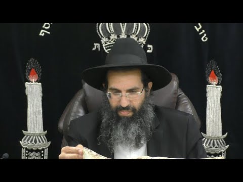 דיני כתובה - י' - עונה 📃 אבן העזר - סימן עו | חלק 55 | הרב שי עובד