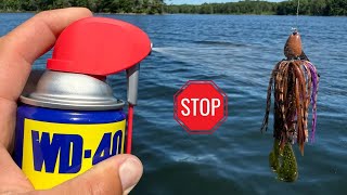 Fishing With WD-40: Myth or Miracle?