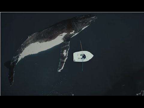 AdMa - Syrena / prod. GREJTU / OFFICIAL VIDEO