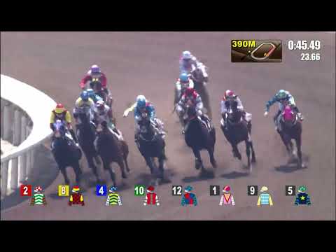 27/2/2022 (454) Golden Mission - Matthew Chadwick