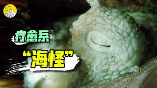 [心情] 請問大家面對低潮時 怎麼重新振作？