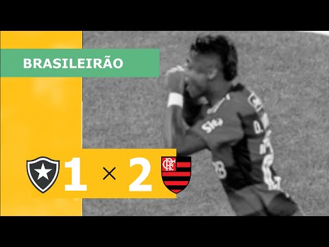 BOTAFOGO 1 X 2 FLAMENGO - CAMPEONATO BRASILEIRO 2023; VEJA OS GOLS