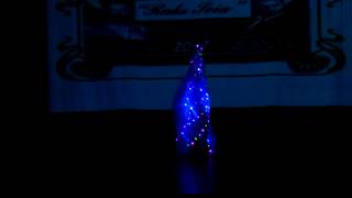 Alas con luces Camila Ibarra.12 años. Academia Magdalena Ecónomo.2017