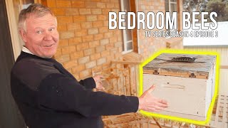 The Secret Balcony Beehive Experiment – Will It Work? | The Bush Bee Man