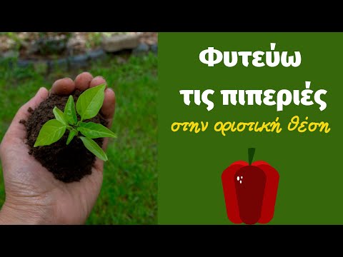 , title : 'Φυτεύω τις πιπεριές μου στην οριστική θέση τους στον κήπο'