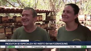 Miniatura do vídeo