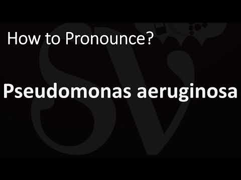 How to Pronounce Pseudomonas aeruginosa? (CORRECTLY)
