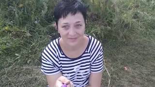 Ссылка