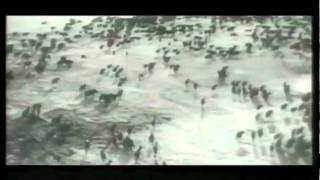 Flat Earth Society - Hearsee Part 1 - Obitateli