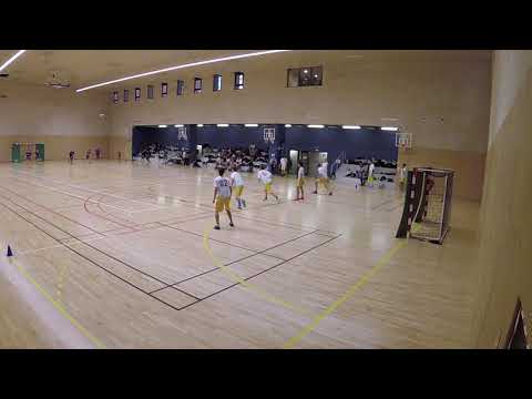 LFDIDF - DR1 - FRISELIS 3 (Versailles) vs PICK HARD DISC (Amiens)