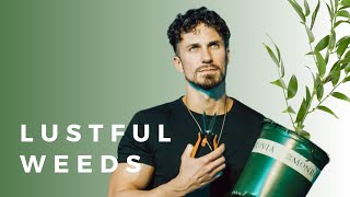 "Lustful Weeds" | Pulling Weeds | Pastor Bobby Chandler