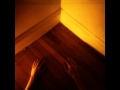 Goldmund - Will