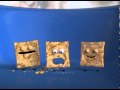 Cinnamon Toast Crunch Holes New Spot