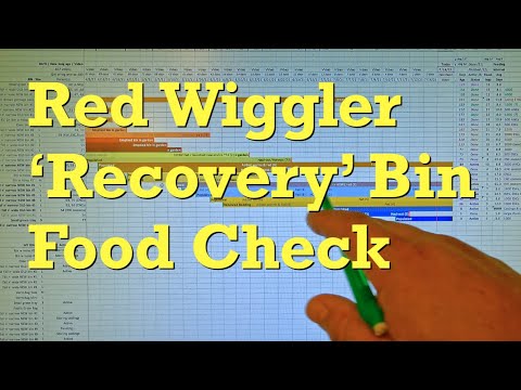 Red wiggler "recovery" attempt: tracking & check-in - worm farm vermicomposting