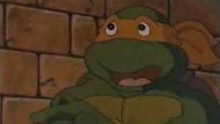 TMNTurtles: Shredhead