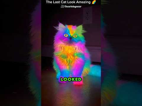 These Cats Glow in the Dark