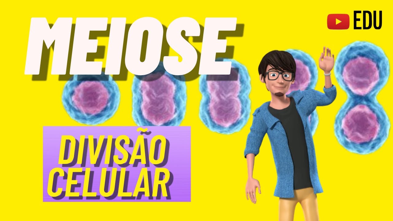 MEIOSE | Divisão Celular | ANIMAÇÃO