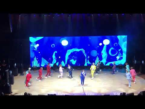 SEVENTEEN Diamond Edge World Tour in Toronto: BEAUTIFUL (Clip)