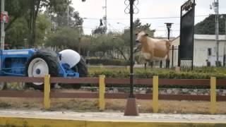 preview picture of video 'H. Dubric: Obras gerenciales llegaron a la Biblioteca Salvador García. Perijá.'