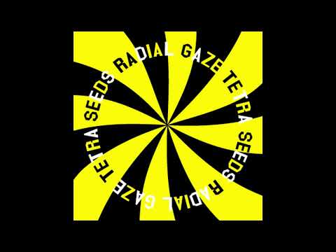 Radial Gaze - Black Salto