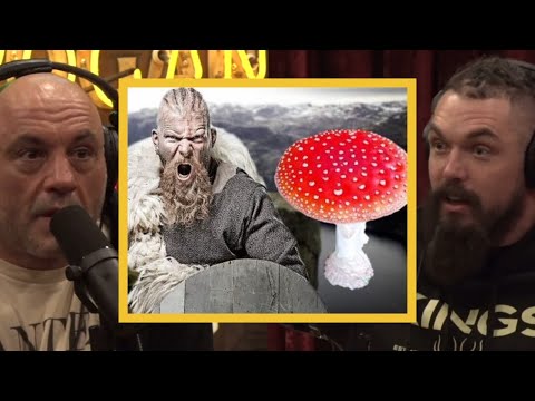 JRE: MAGIC VIKING MUSHROOMS! Are They Real?