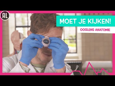 JE GLIBBERIGE SOEPELE OOGLENS - TOPDOKS ANATOMISCHE LES VAN DOKTER ELBERT