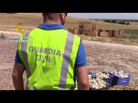 2017 07 27 op mata cuellar