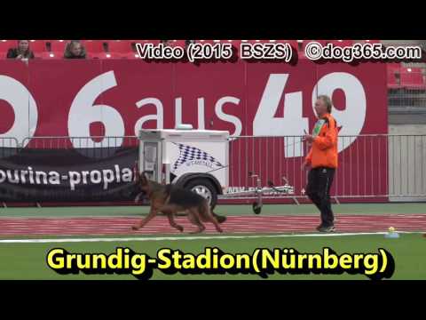 02.-04.09.2016 Bundessiegerzuchtschau Nürnberg