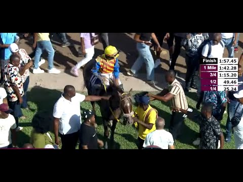 JAMAICA RACING:Blue Vinyl Is The 2025 Chairman, Sat, Dec 6, 2025, 7th