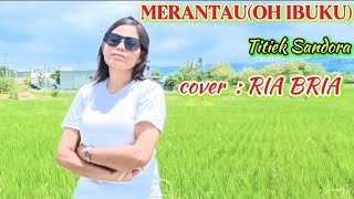 Download lagu MERANTAU ( OH IBUKU ) titiek sandhora//cover RIA BRIA mp3 Download lagu MERANTAU ( OH IBUKU ) titiek sandhora//cover RIA BRIA mp3