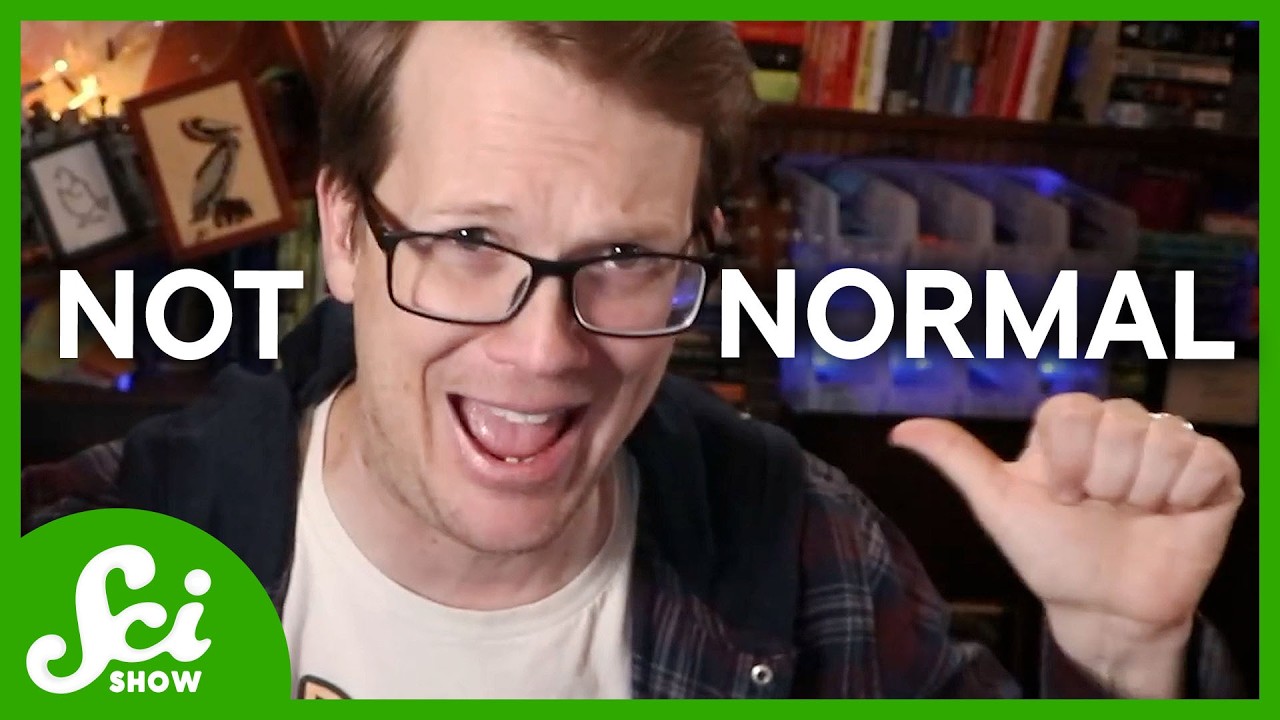 This Video Will Be Deleted in 24 Hours