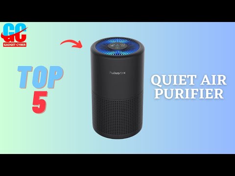Best Quiet Air Purifier for Large Room