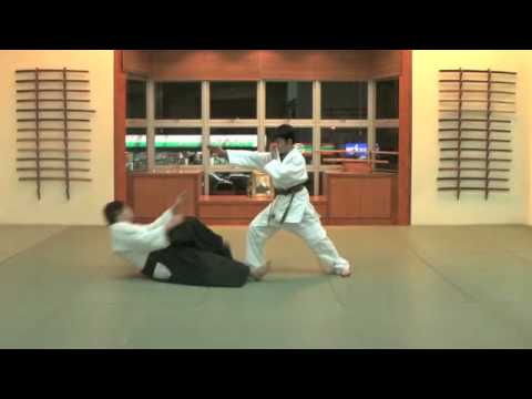 Koryu Budo - Hicho no Kata (M).m4v
