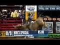 Top 10 ABBI Classic Bulls From COS BFTS
