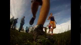 preview picture of video 'Belgrade XC 2012 Divisional Meet'