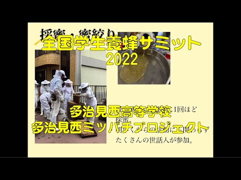 商学科 多治見西ミツバチプロジェクト