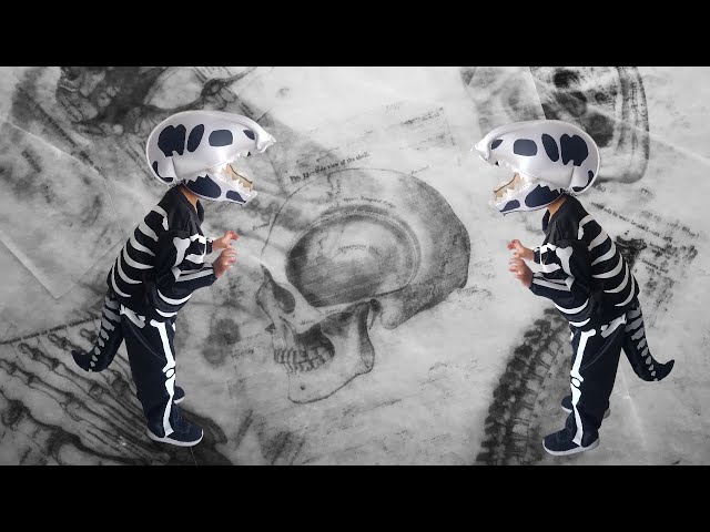 Vídeo relacionado con lisutupode Disfraz de Esqueleto de Dinosaurio de Felpa,Juguete Animal De Peluche - Ropa de Cosplay de Halloween - para Adultos Convenciones de Cómic Carnaval Actores de Teatro Eventos Temáticos