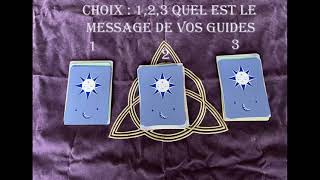 Miniature de la vidéo