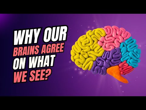 Why Our Brains Agree On What We See? #brain #neuroscience #science #viralvideo 