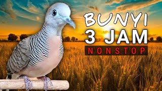 Download lagu MASTERAN SUARA PERKUTUT 3 JAM Nonstop | Suara pikat mp3 Download lagu MASTERAN SUARA PERKUTUT 3 JAM Nonstop | Suara pikat mp3