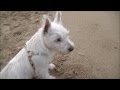 Lord Blair 05 04 15 - YouTube