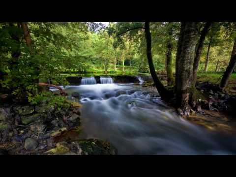 Zoran Jelenković Kao da si tu