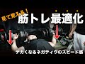 実際にやってみた!筋肥大するネガティヴワーク(下げ方)のスピード感