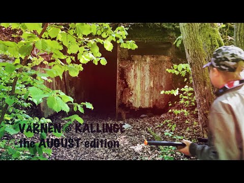 HEMLiGA VÄRNEN @ KALLINGE #1