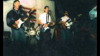 In Memoriam Partners in Crime - someday baby