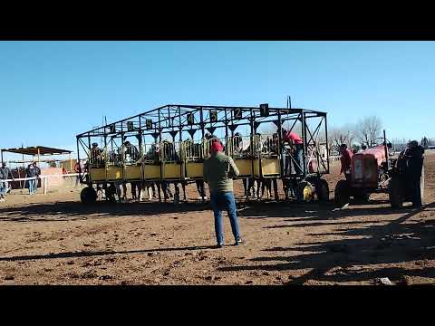 Cutralco 03/07/2022 • DECIMA PRIMER CARRERA • Clásico Beto • (Puerta)