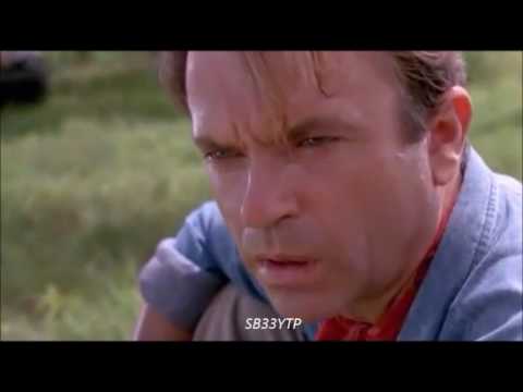 Benvenuti al Rom Park, qui non si bada a spese! ( Angolo rotture LIDL Zingari)