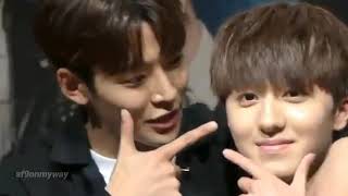 Download lagu rochan cute / funny moments [sf9 rowoon x chani ] mp3