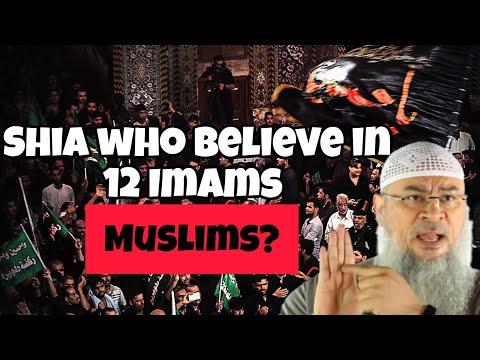 Are Shia who believe in 12 Imams Muslims? #assim assim al hakeem