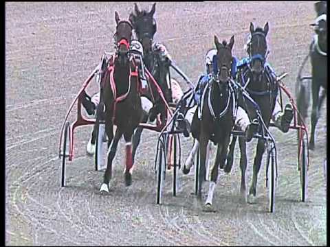 Trotto 22/10/2015 - 1° corsa